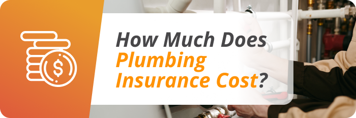 plumbing insurance cost
