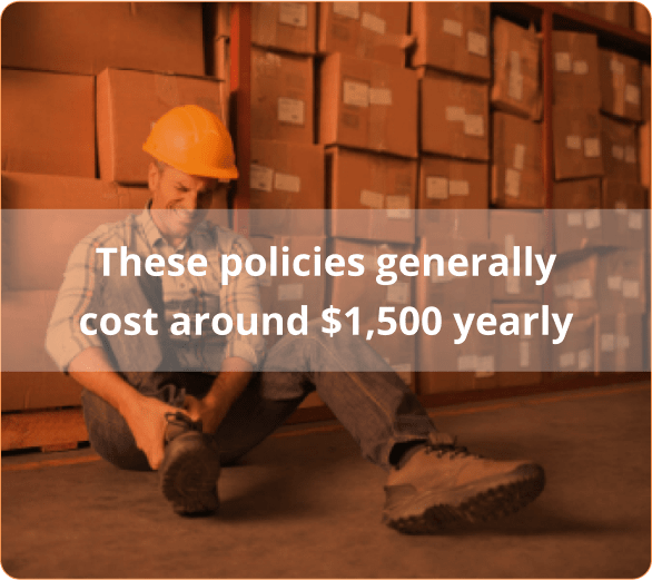 Infographic of the These policies generally cost around 1500 yearly-min