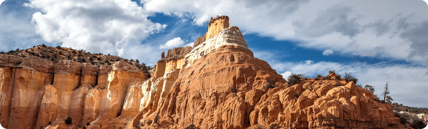 New Mexico State View