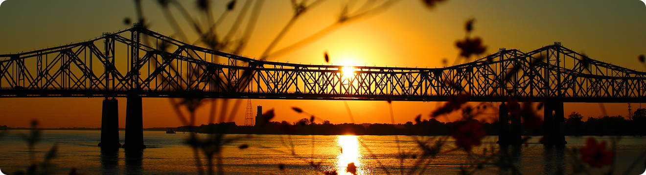 LOUISIANA Hero section