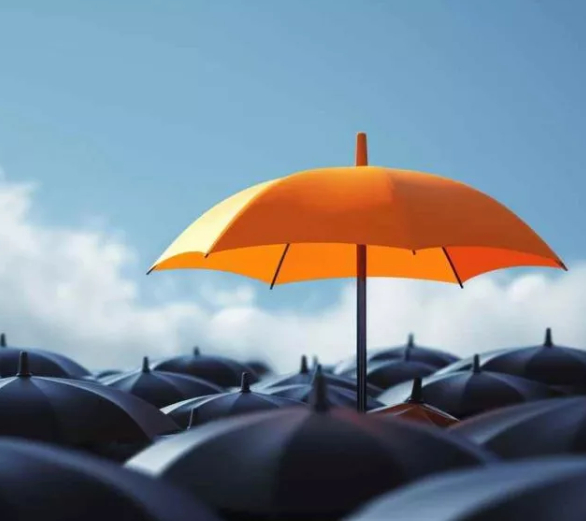 Commercial Umbrella Insurance