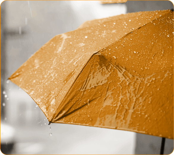 image of Texas Commercial Umbrella Insurance COI