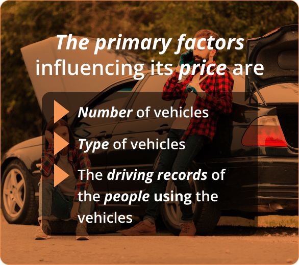 infographic of main factors influencing price
