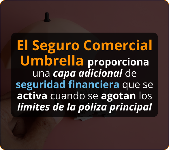 seguro para roofers tampa